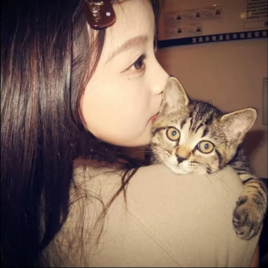 🐈‍⬛‧
