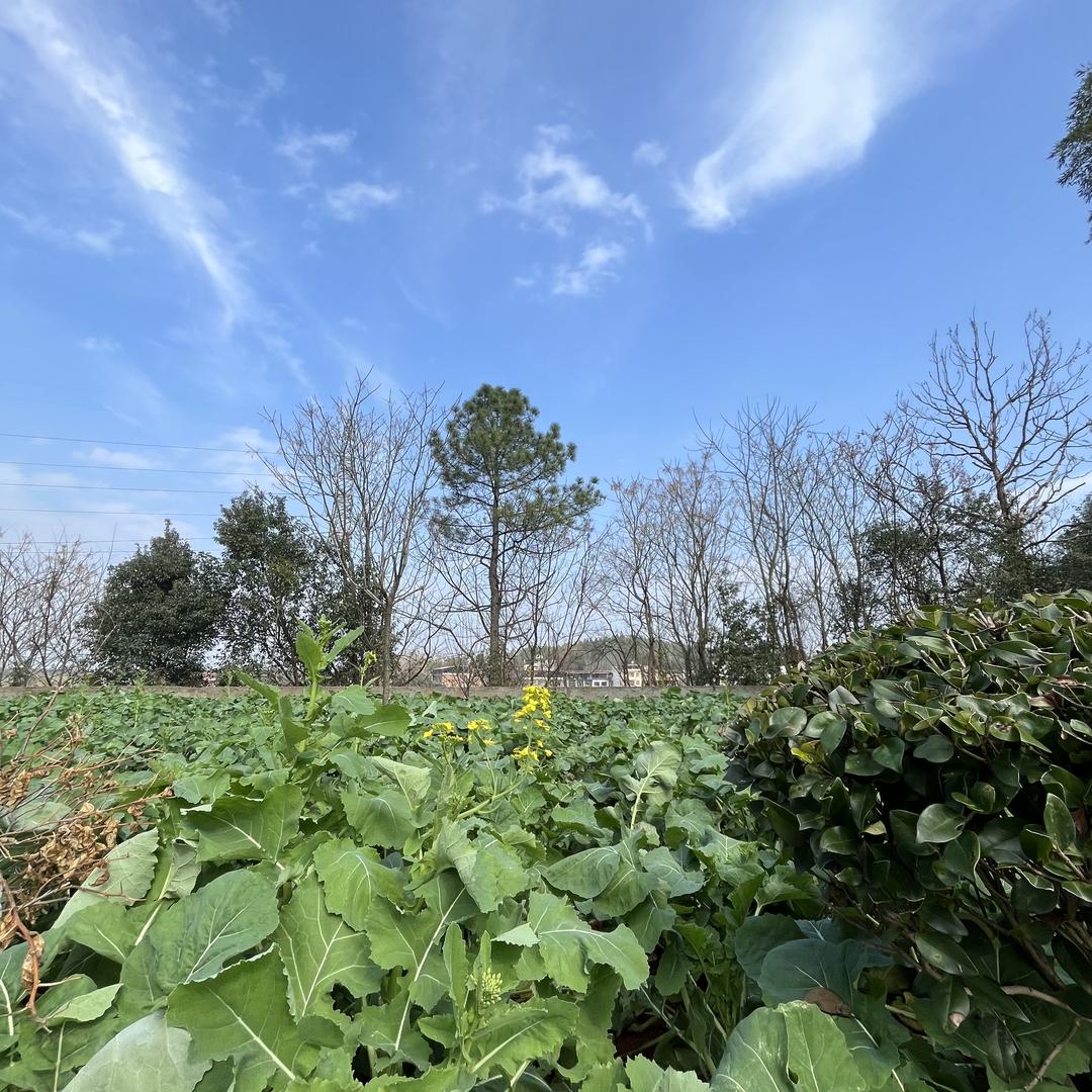 土木转行卖手表