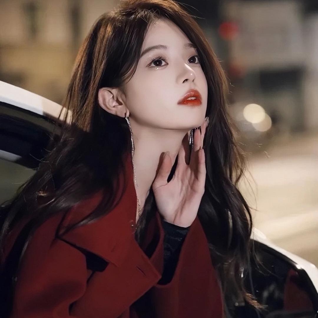 燕子团购1188V