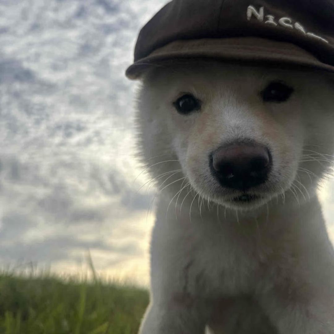 ？（见过s1mple版）