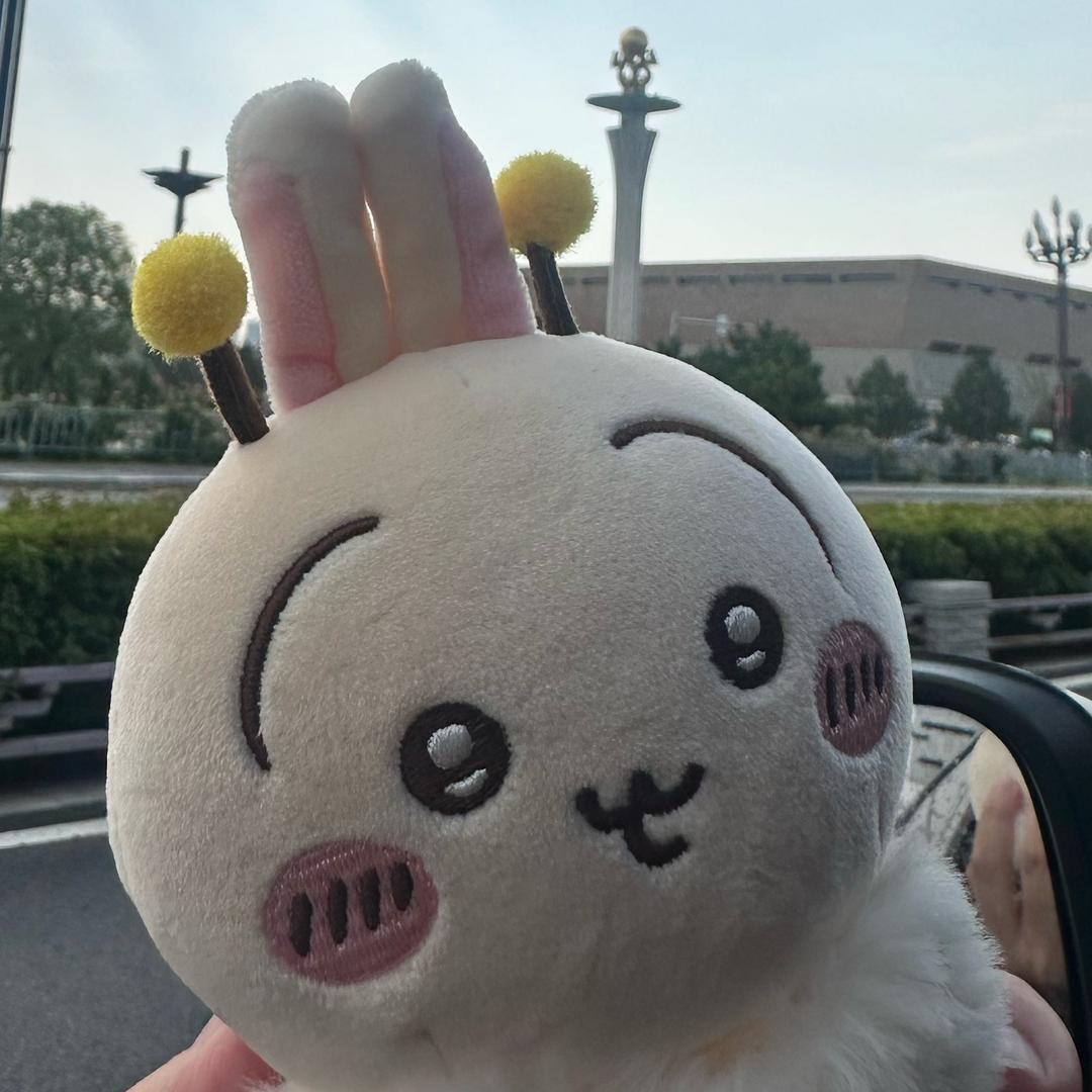 洛阳乌萨奇