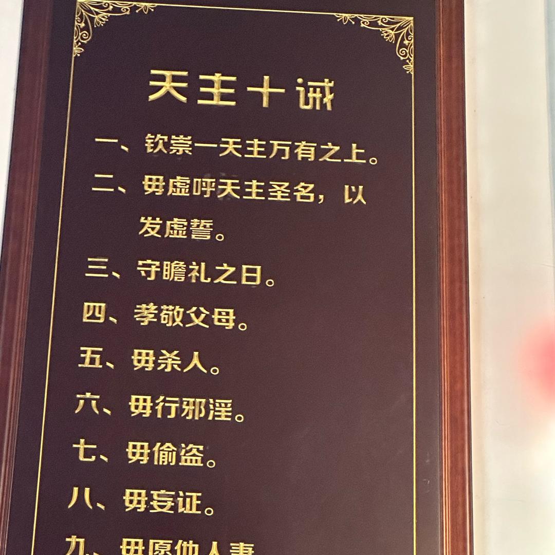 猫冬瓜