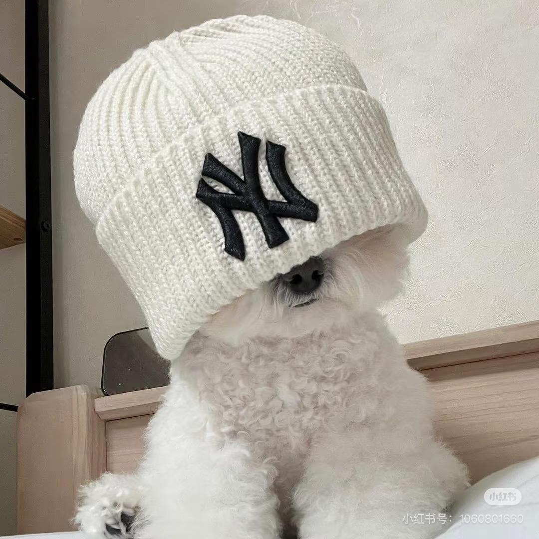 熊孩子🐻