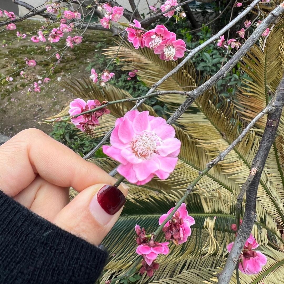 福崔公子🦋