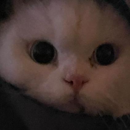 XuE雪碧