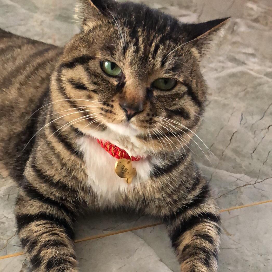 润晶缘（猫叔）小号