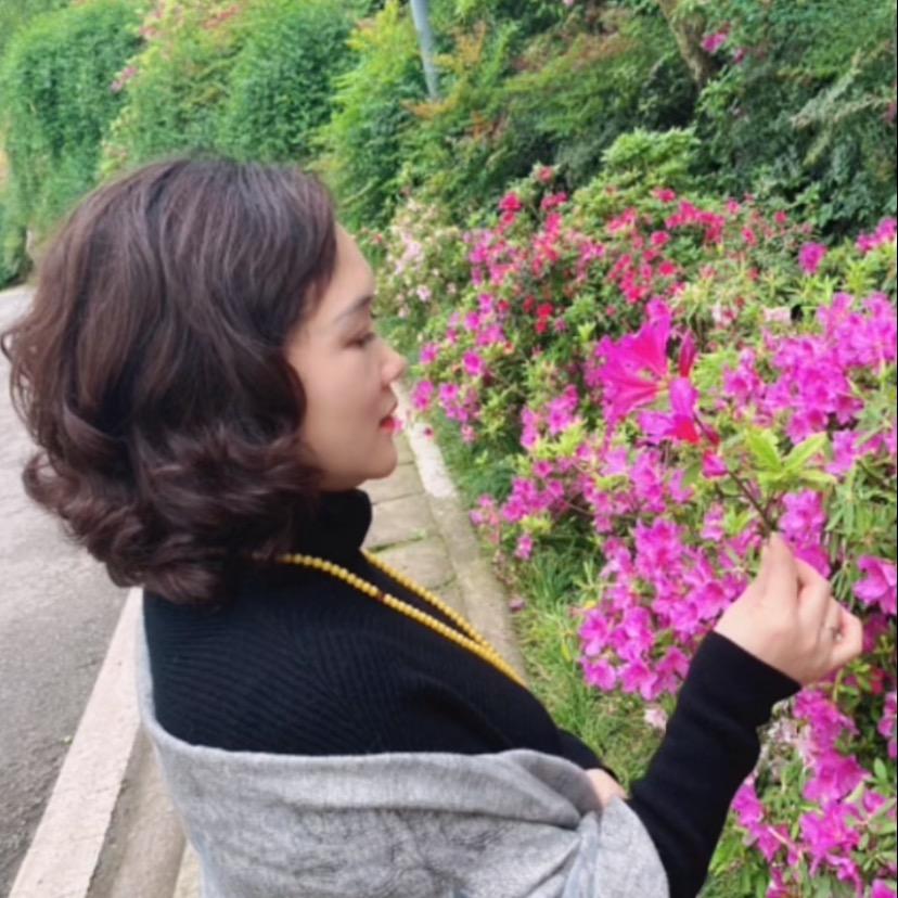 玉兰花开