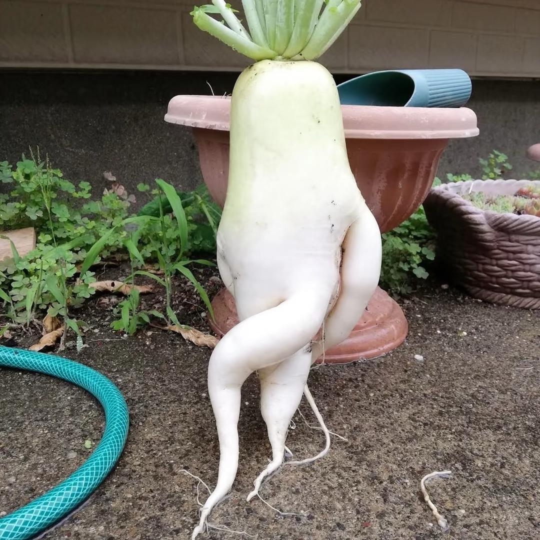 成年了