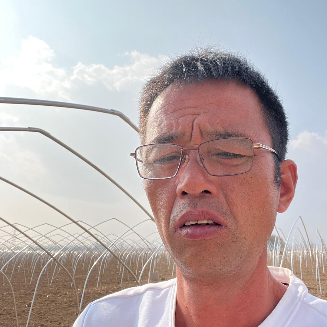 鑫隆春农业种植有限公司