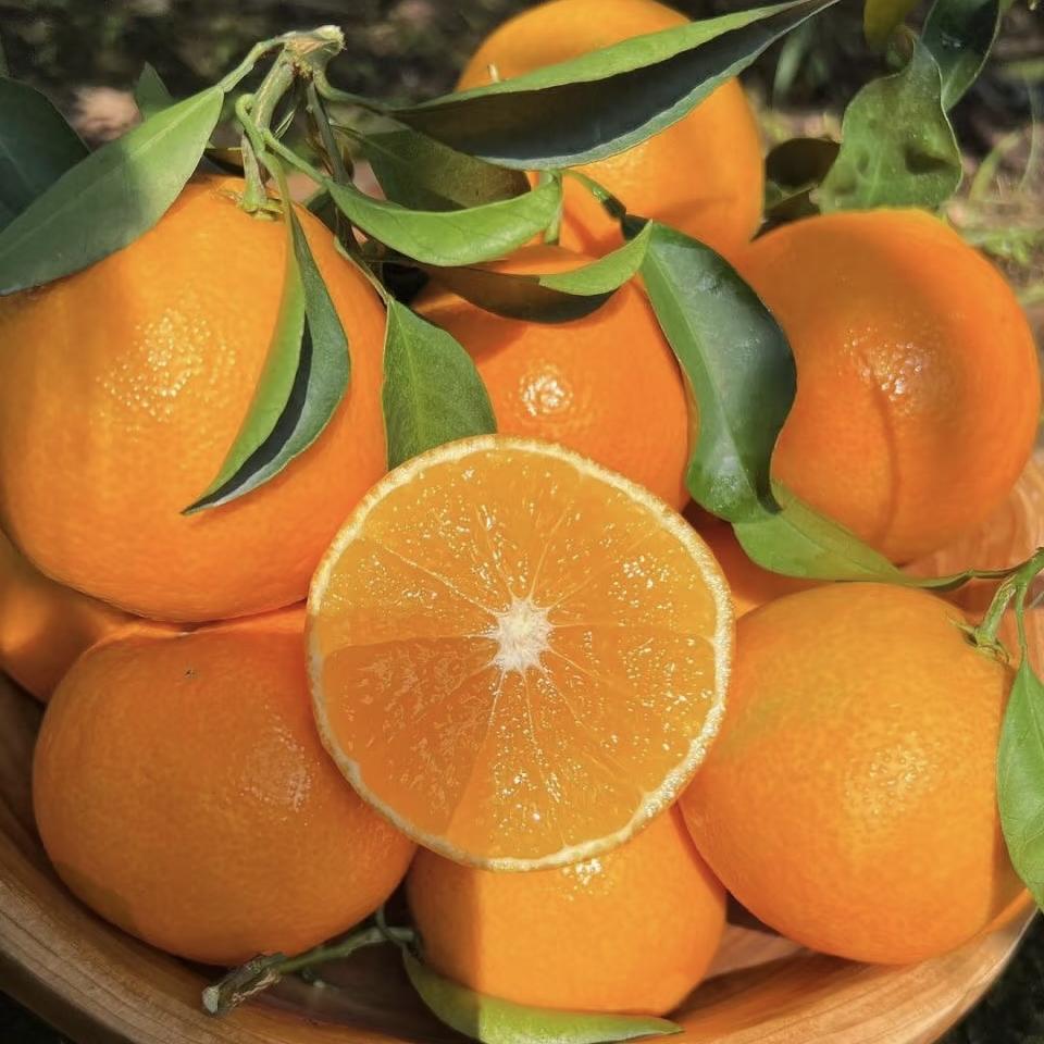 舞茼的鲜果小铺