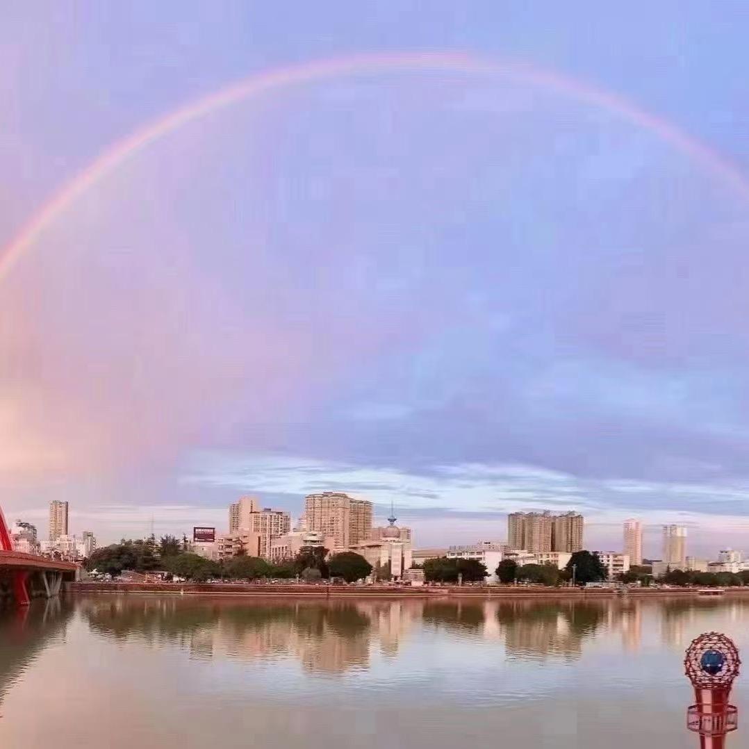 龙哥、