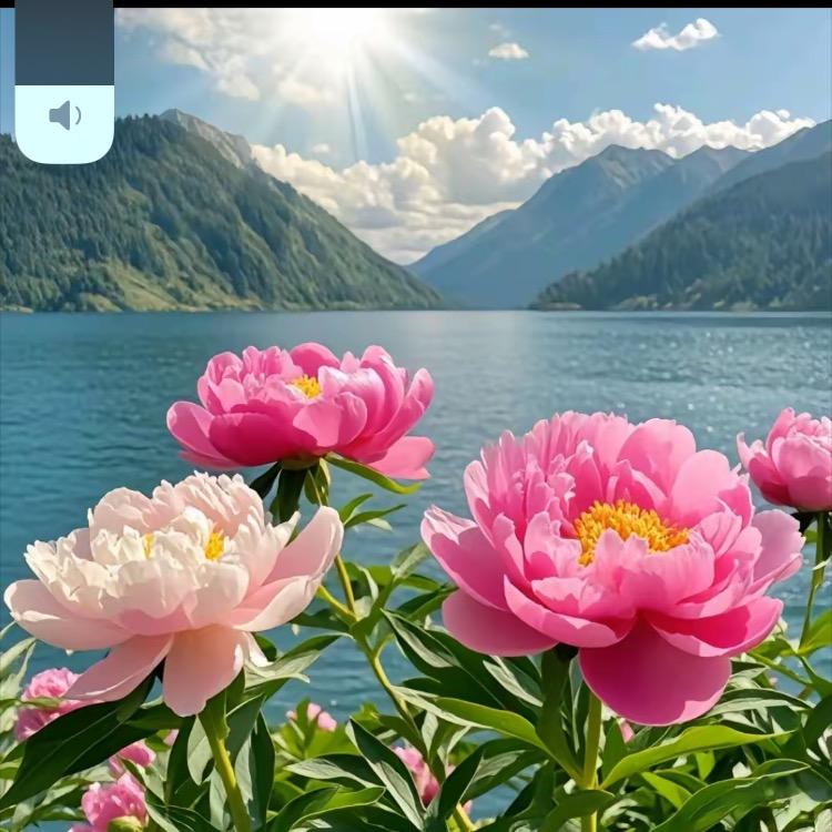 普陀山-玄一居士