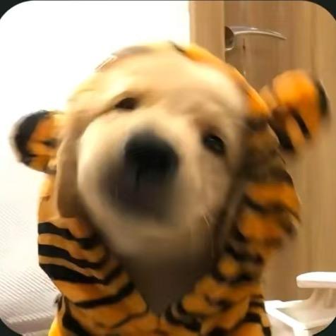 明晚不熬夜