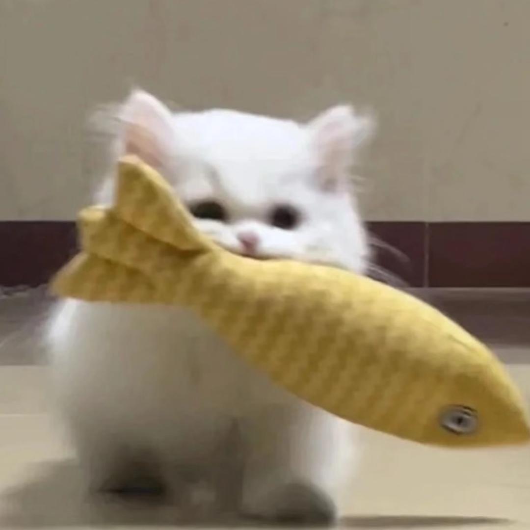 小竹小竹