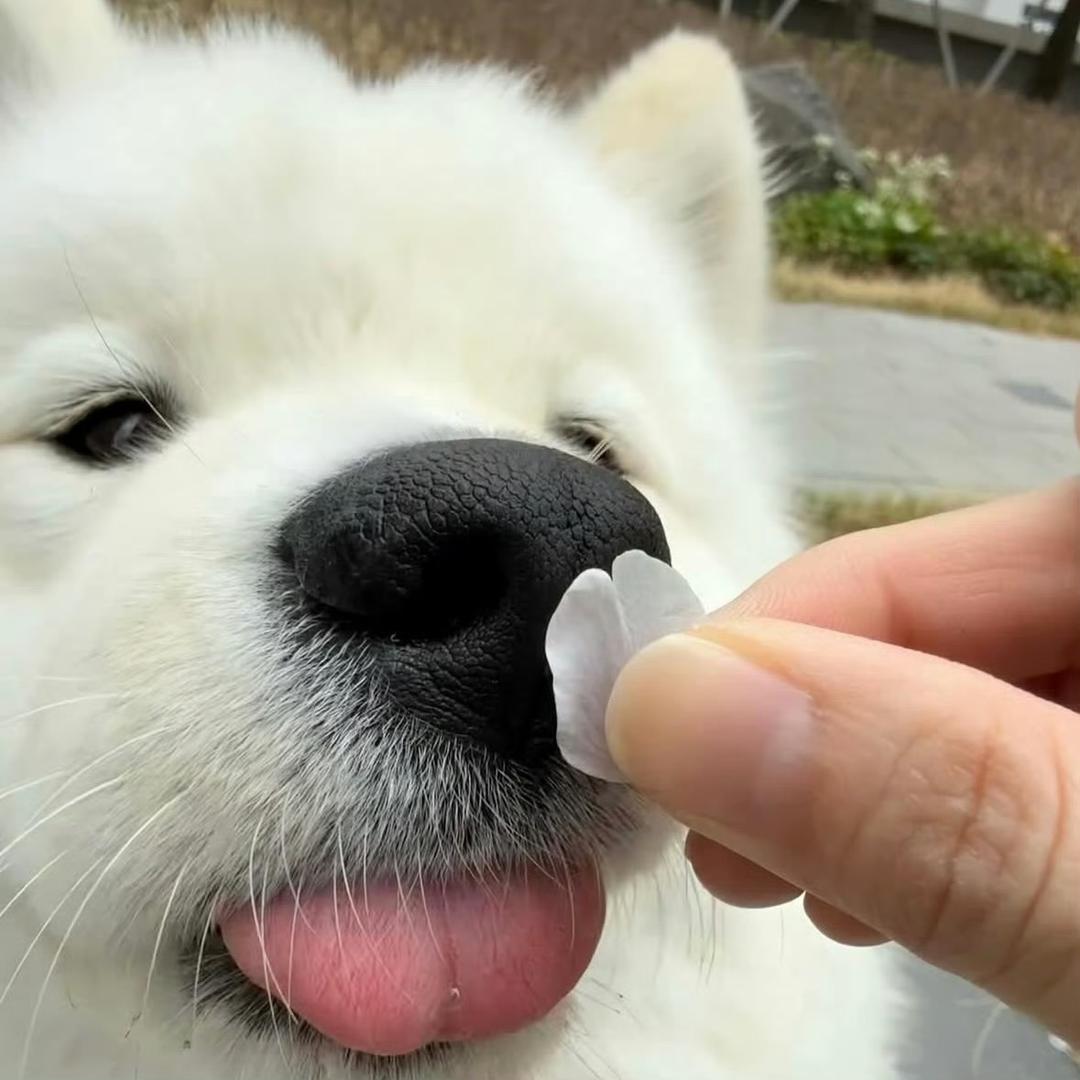 爆辣土豆