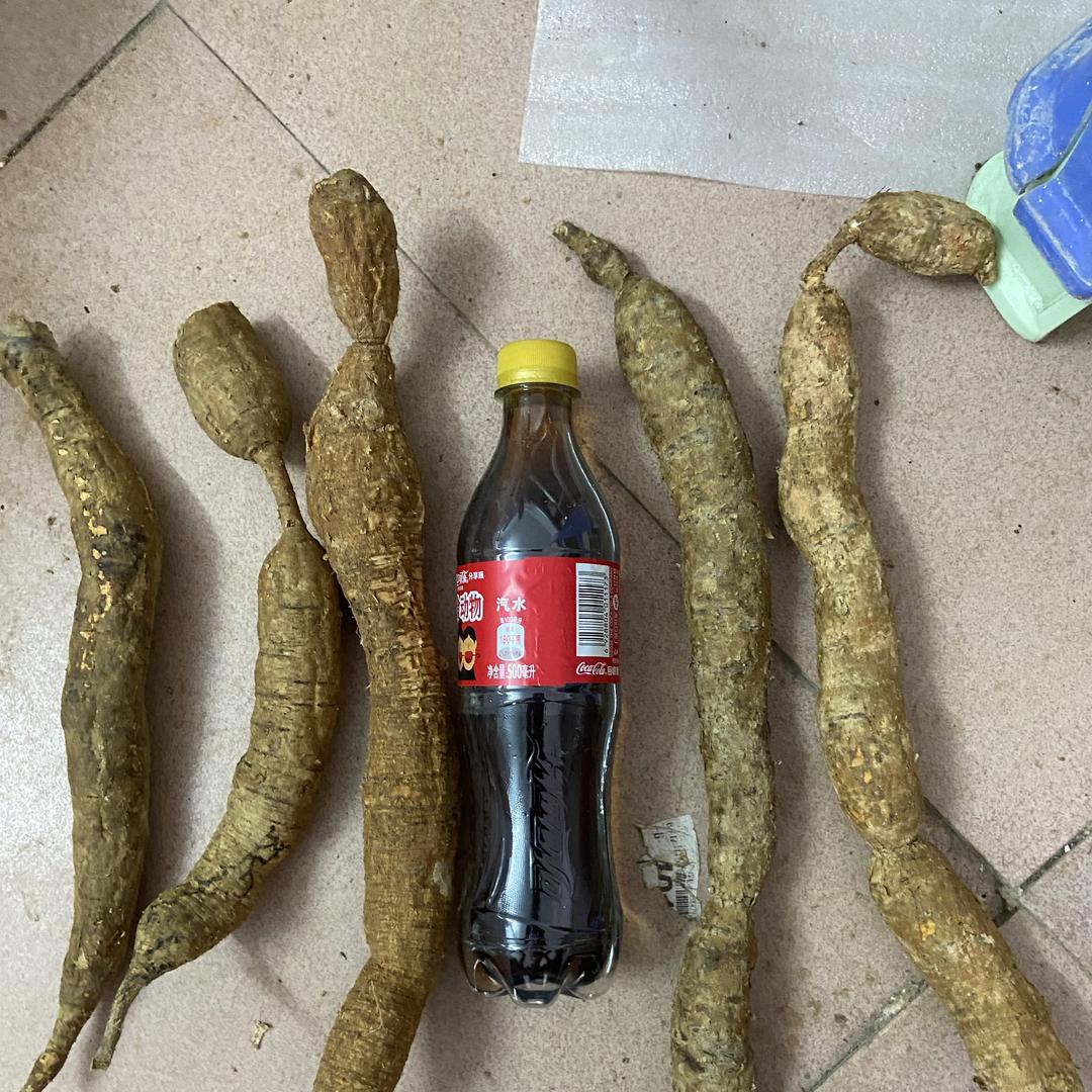 茂名滨海冼昌特色农品严选