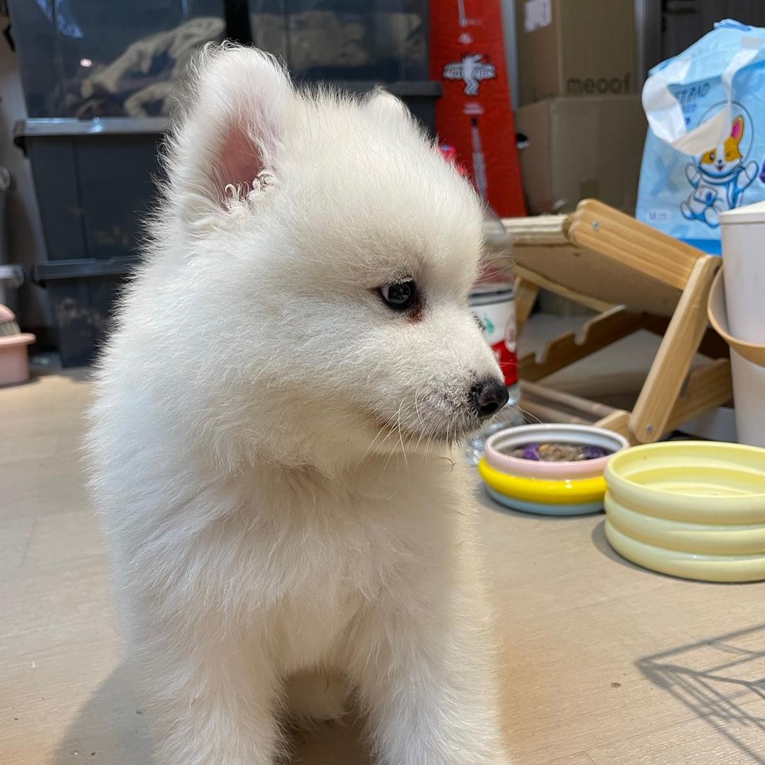 听说改名能中奖