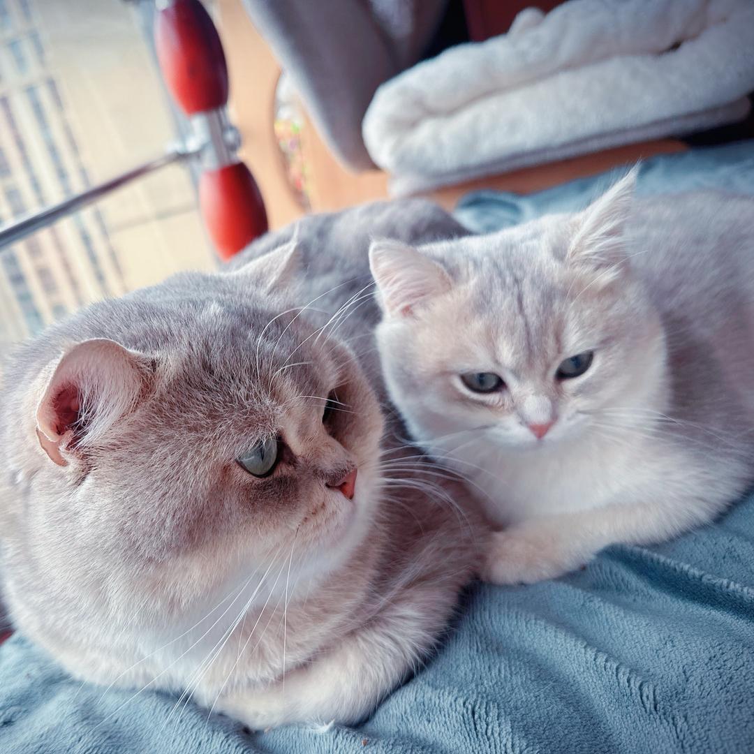 家有👧😺😺