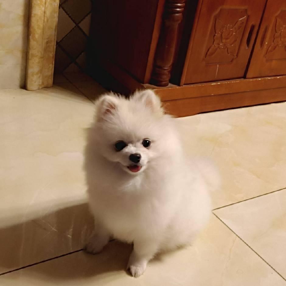 可惜我不是双鱼座