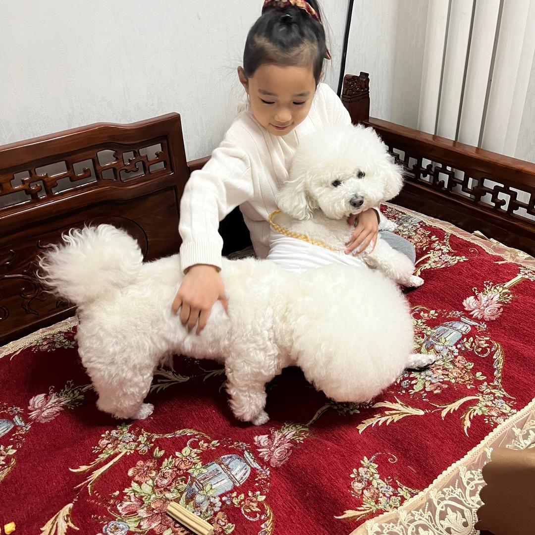 伯尼d小饭盆