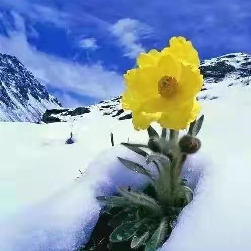 威海望海阁海景公寓(火炬八街店)官方号