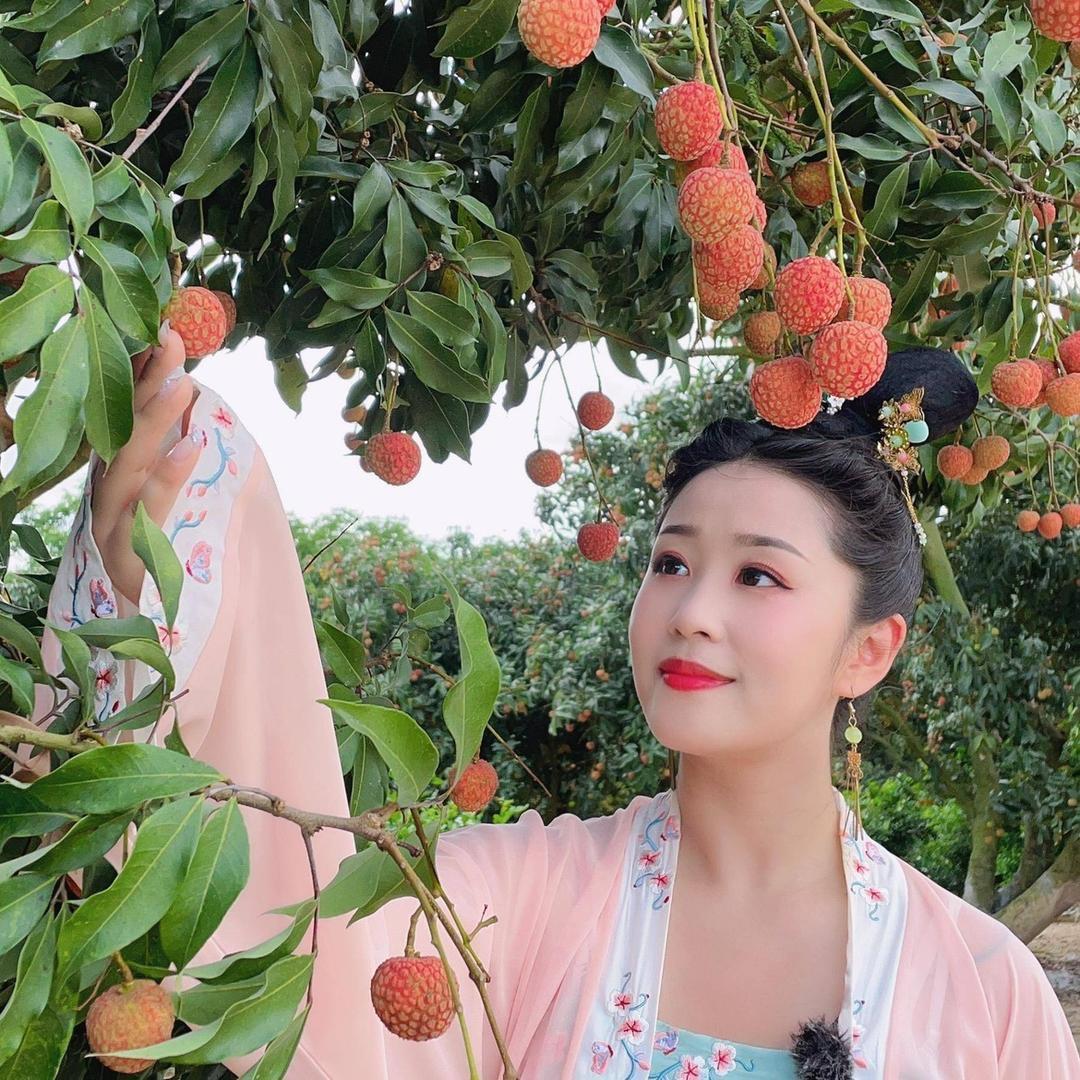 小青家荔枝