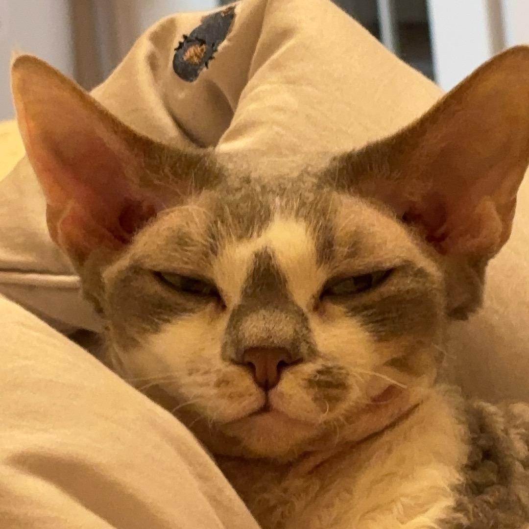 Leo..