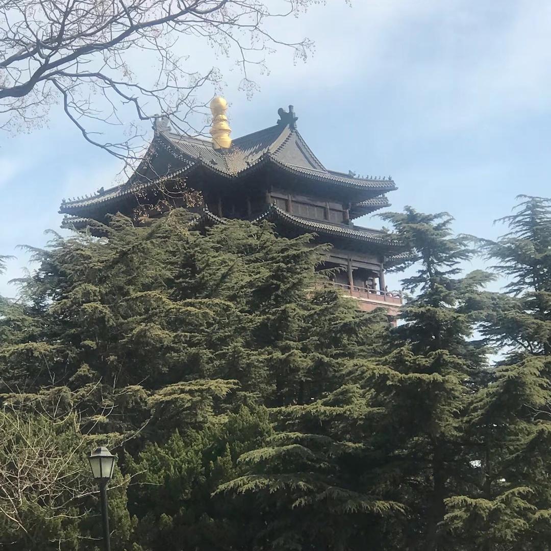 孙老头