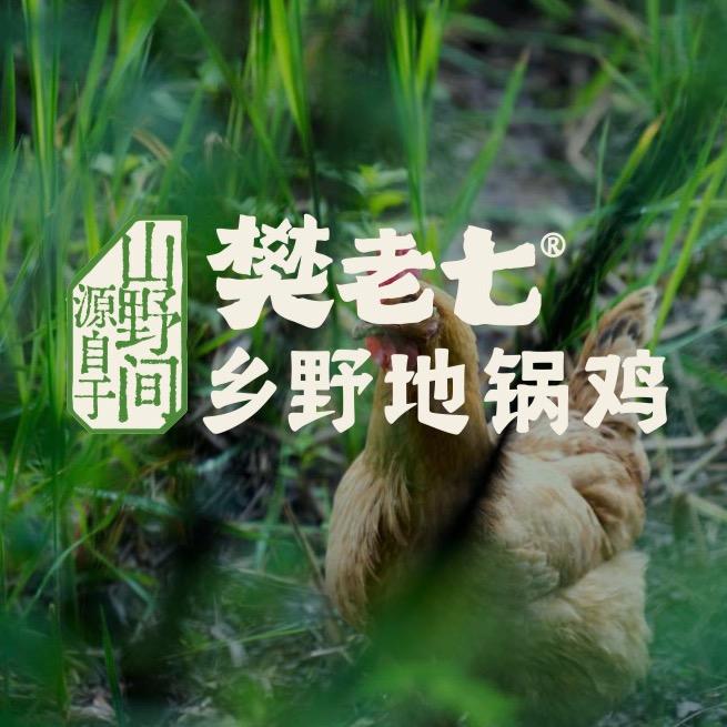 樊老七乡野地锅鸡官方号