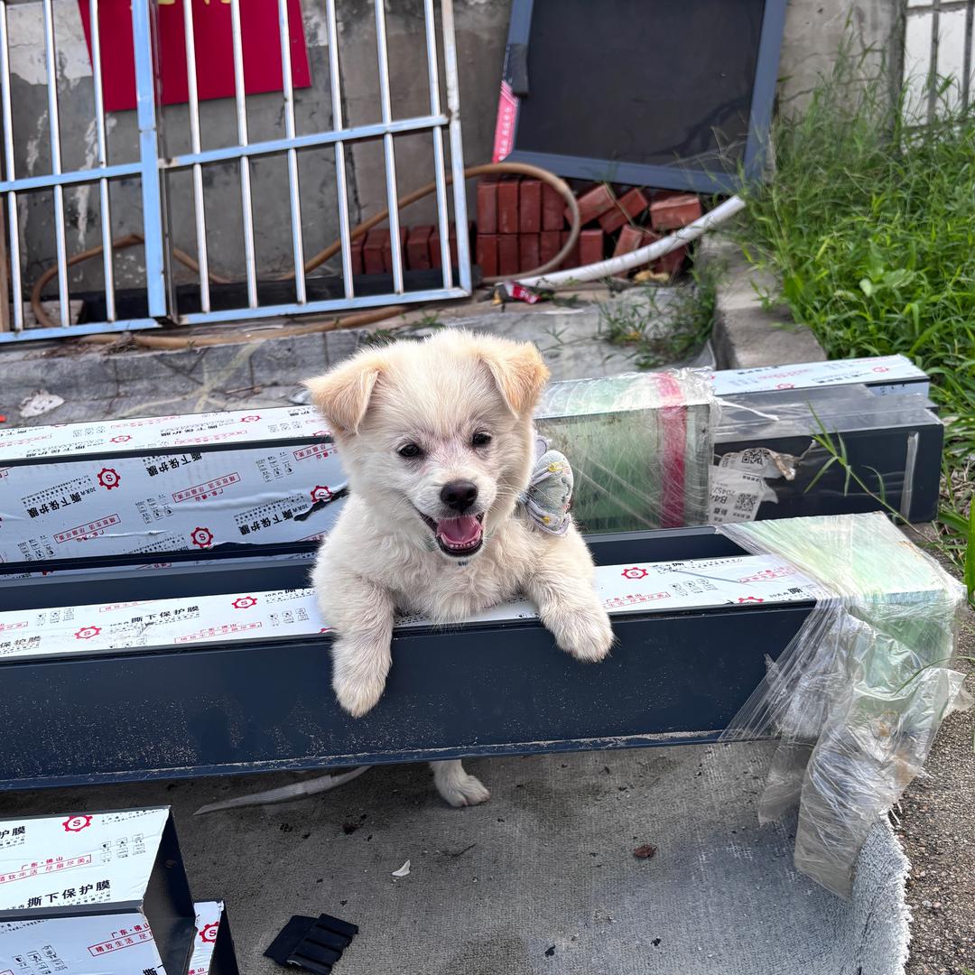 一斤羊🐑i 财🐾