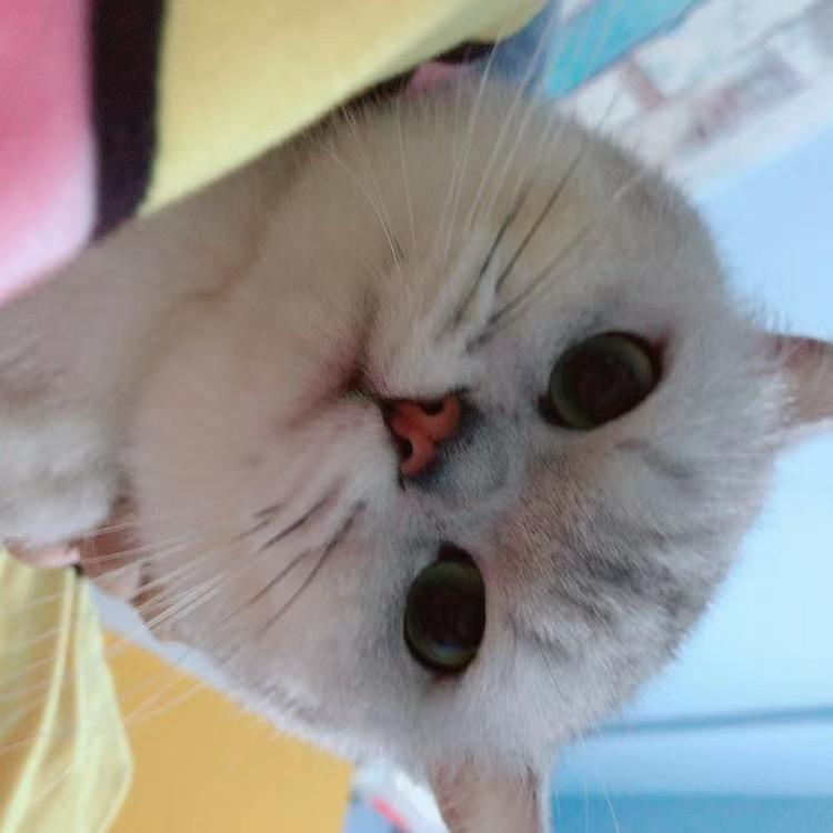 吹海風.