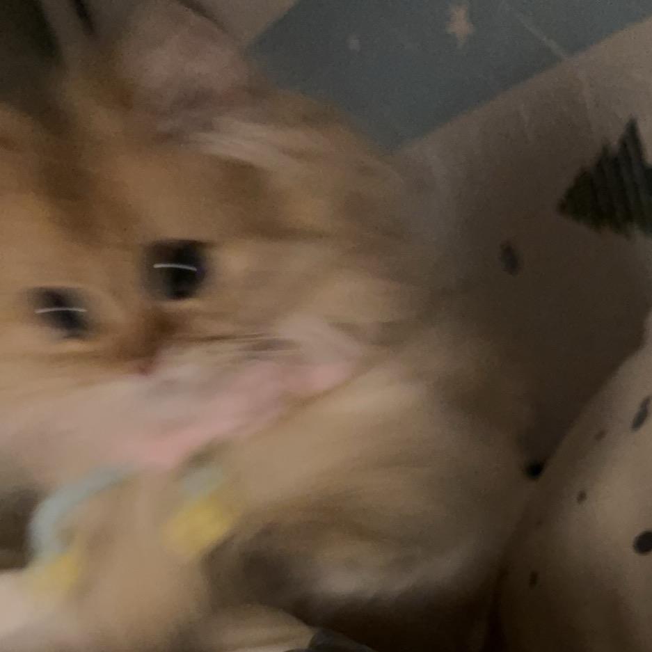 萧何
