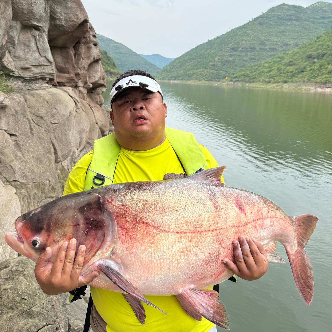 陈胖子钓鱼