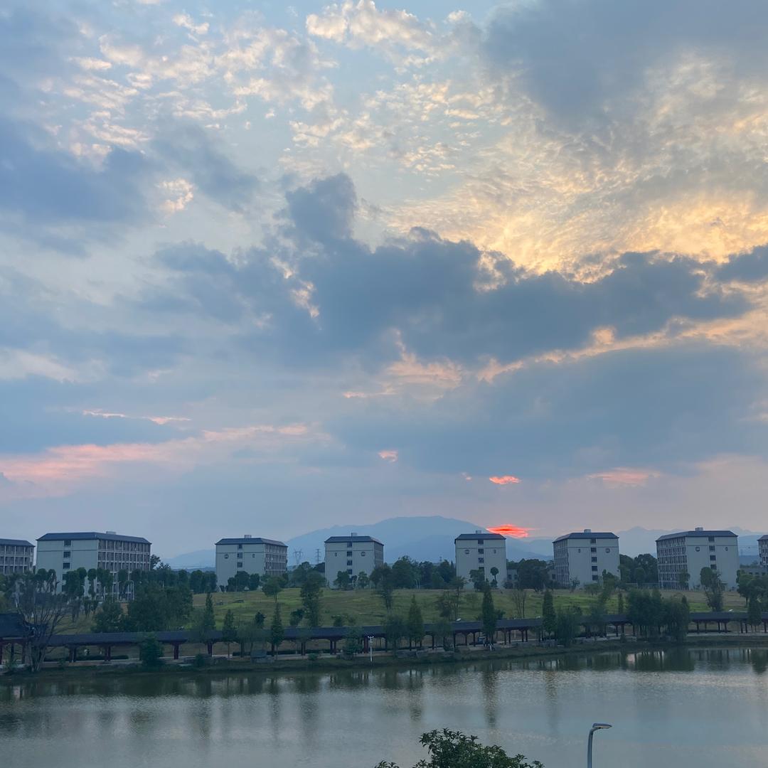 会飞的土豆