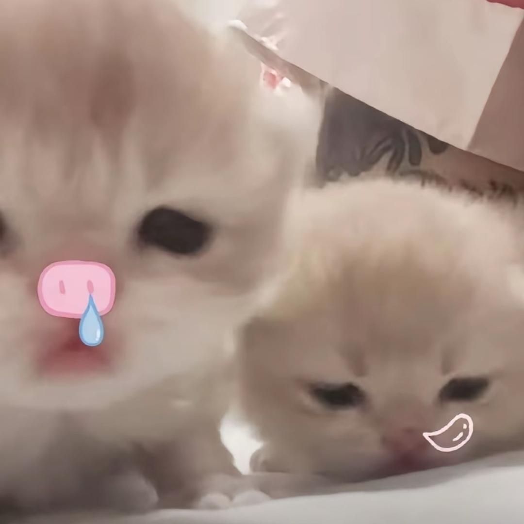 超级无敌狂炫暴裂牛b吊炸天迪迦奥特曼