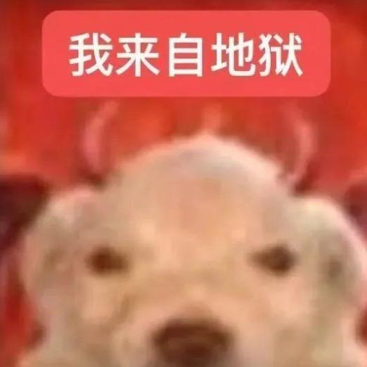 我有厌蠢症