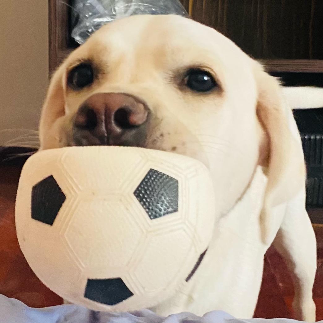 辣辣的辣布辣嘿