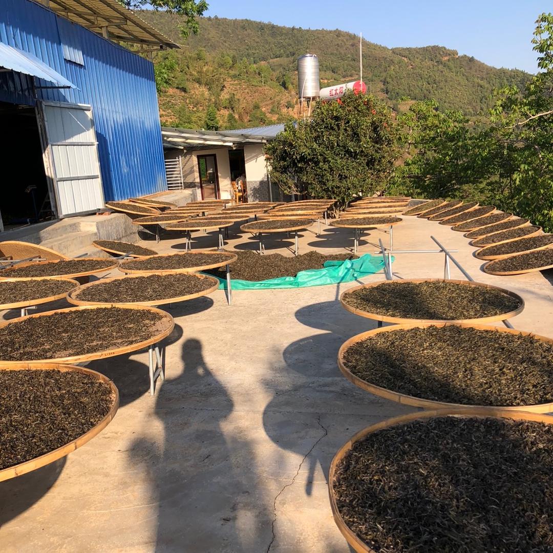 官渡区煦芽号茶叶店