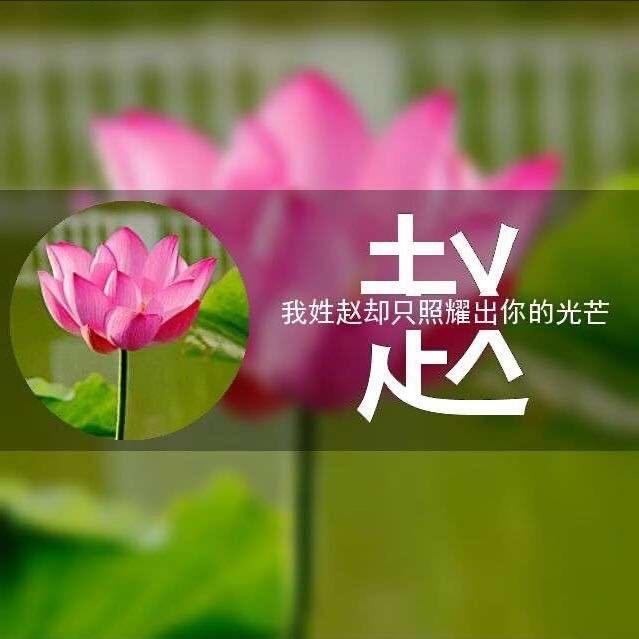 紫色女孩