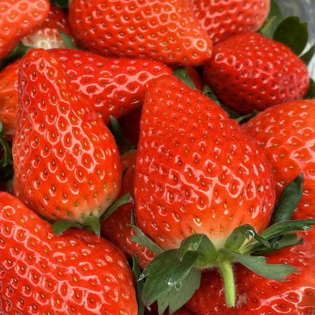 安宁文丙多元商品铺子