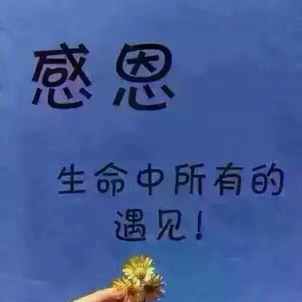 芳👑枞阳人在日本