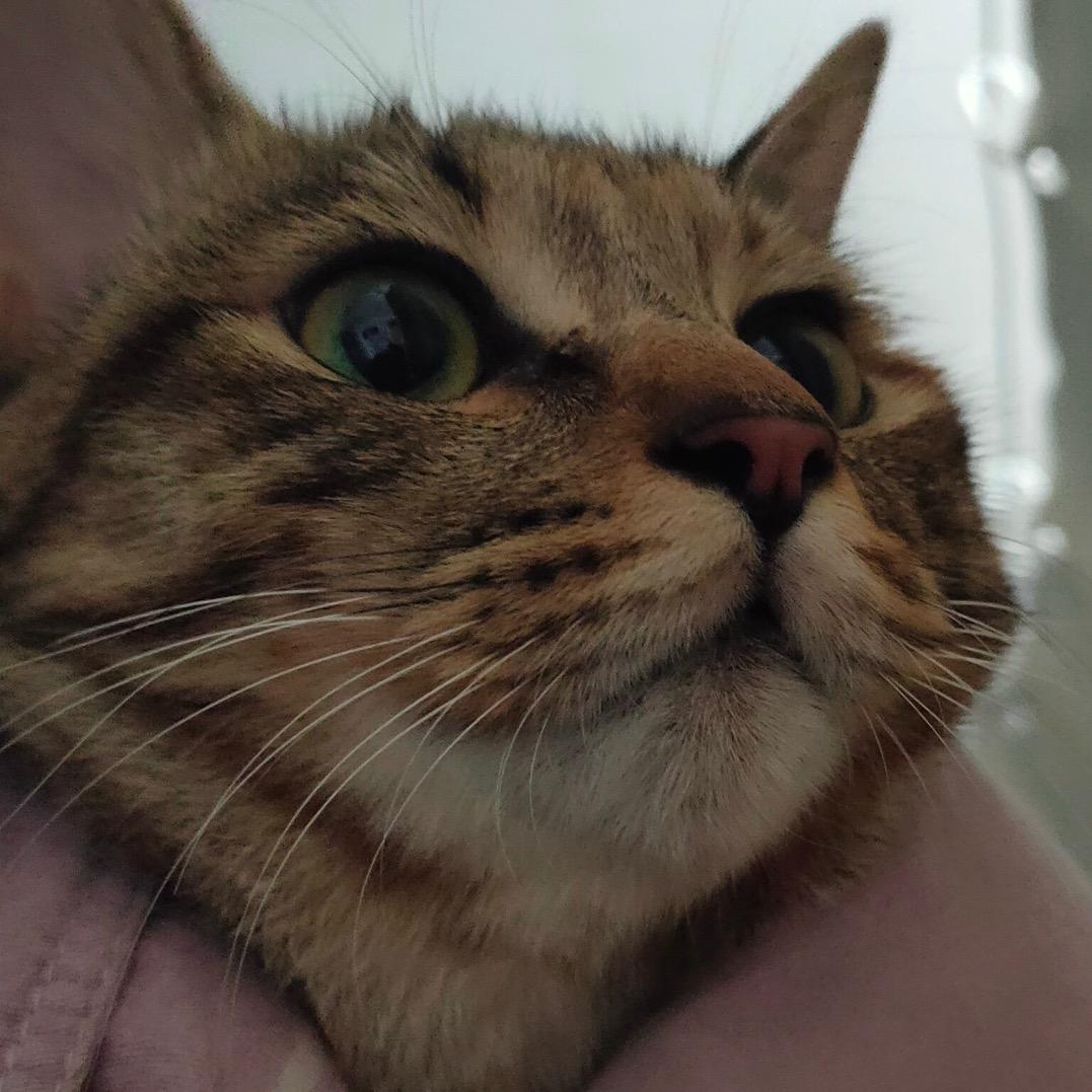 宇宙超级无敌暴龙战士