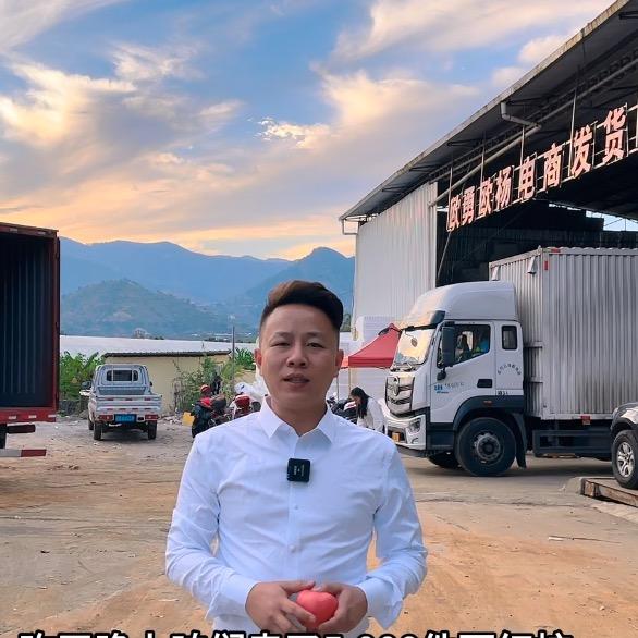 欧会长（攀枝花产地直发）