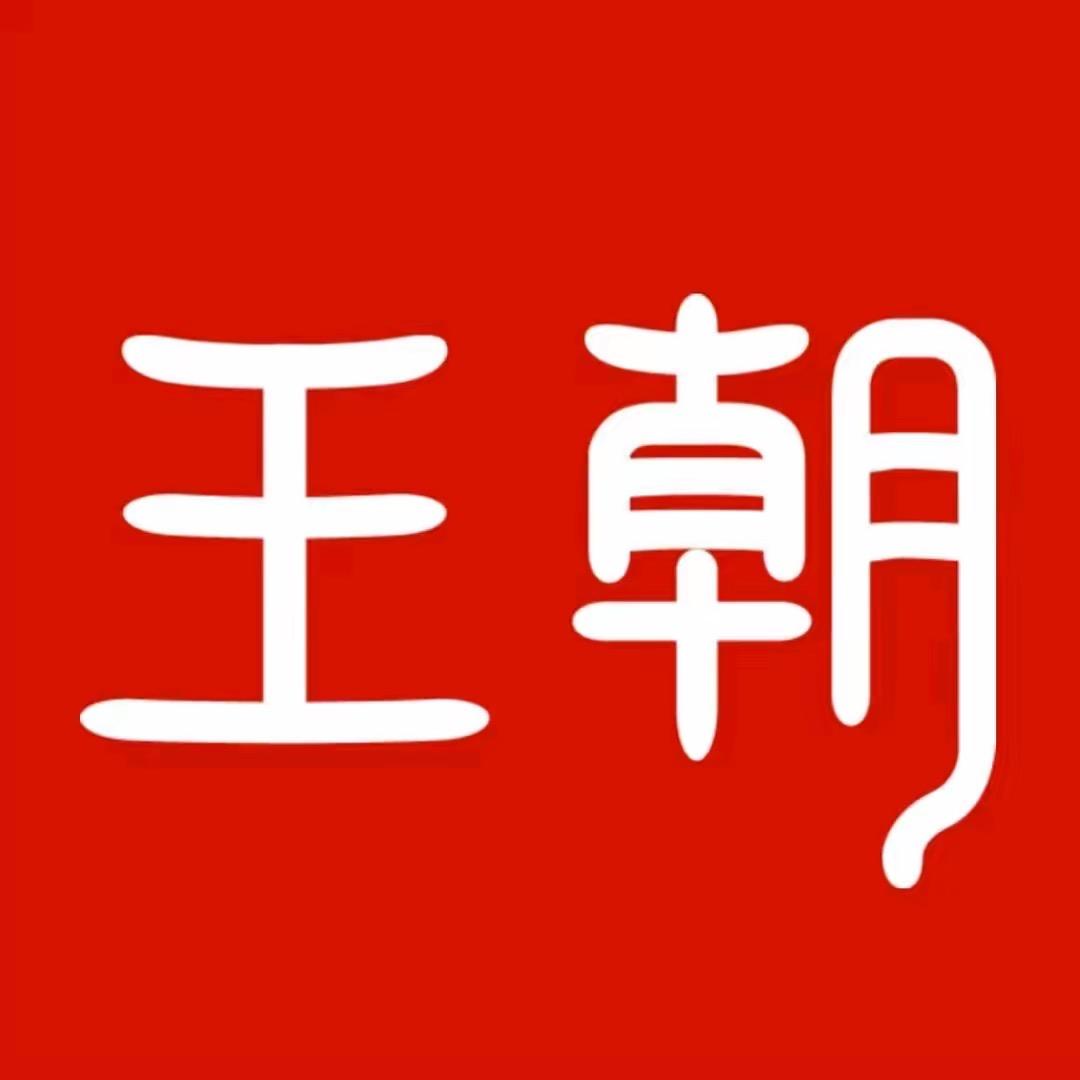 比亚迪王朝（邵阳大道店）