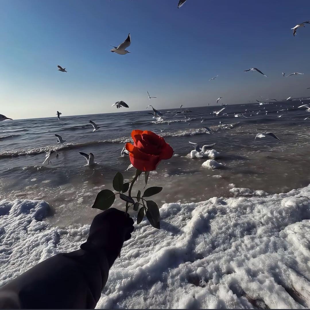 大明星 12号 啊超