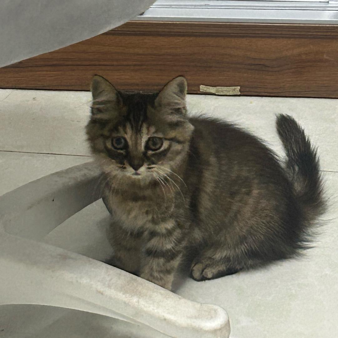 樱桃子🍒🏥💉