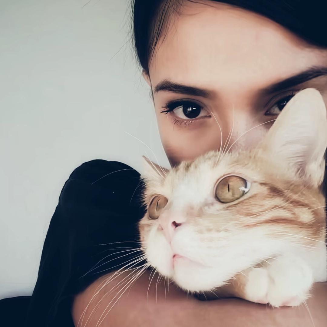 ㅤㅤㅤㅤㅤㅤㅤㅤ  ㅤㅤ六六大顺