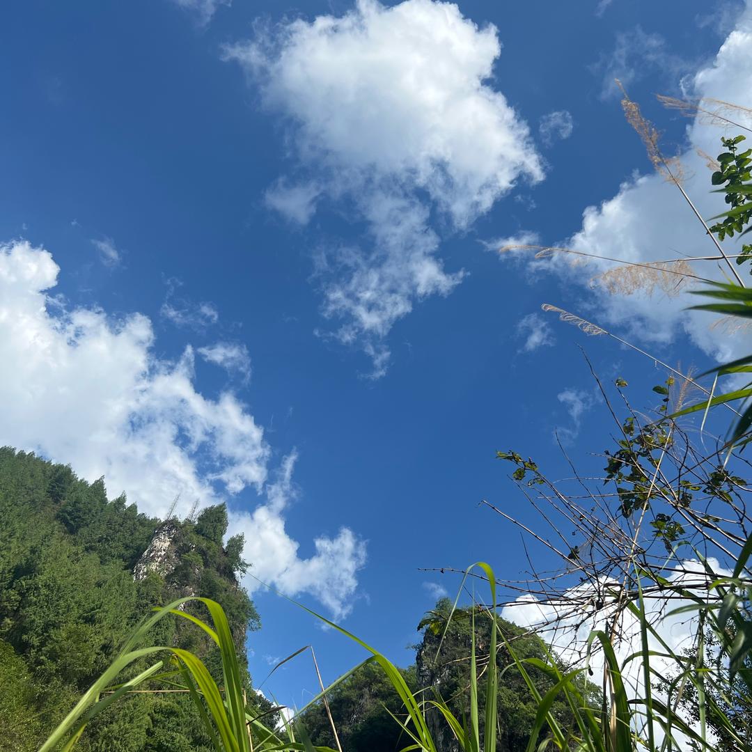 A.思思