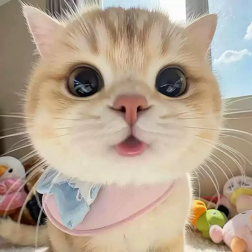 米粒.