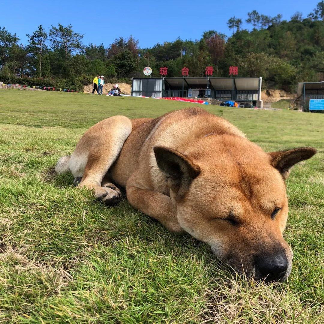 海口吹北风